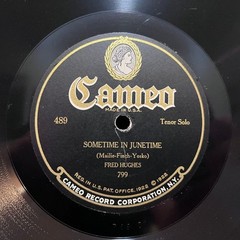 HENRY SCOTT / FRED HUGHES (1924 Cameo) – 10″ Shellac 78RPM Record – E+