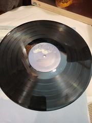 JOHNNY WINTER NOTHIN’ but THE BLUES – VINYL RECORD LP