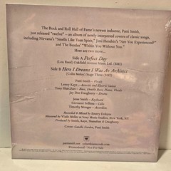 Patti Smith Two More 7″ PROMO Perfect Day / Here I Dreamt 2007 Art Rock