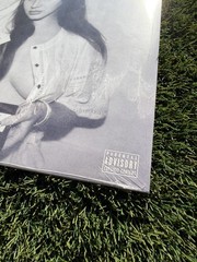 RARE Lana Del Rey – Did you know that there’s a tunnel ALTERNATE ART vinyl Nude