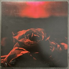 Paper Kites Roses Limited Colored (Cherry Bomb) Vinyl LP ~Mint!~ FULLY TESTED