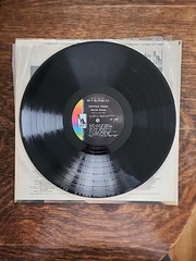Exotica Today Martin Denny EXCELLENT (EX) Vinyl LP Record 1966
