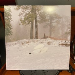 Wisp – Pandora (MILKY CLEAR VINYL) – ALT/INDIE *SEALED/CLEAR*