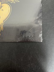 Bon Jovi – Greatest Hits LE Tiger Eye Vinyl USED NOT TESTED