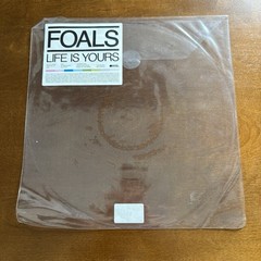 FOALS Life Is Yours LIMITED EDITION UK ZOETROPE PICTURE DISC VINYL LP 2022 VG+