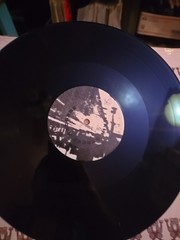 FALLOUT SHELTER WHAT DO YOU WANT? TRIBAL AMERICA Y58382 US SHRINK VINYL 12