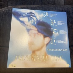 Magdalena Bay Imaginal Disk Vinyl LP Blood Records Limited Edition