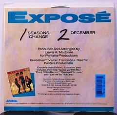Exposé – Seasons Change – 1987 Arista Pop Dance 45 RPM 7″ Single Record + Pic
