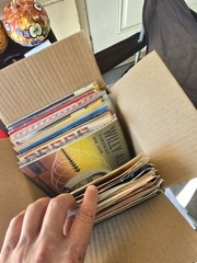 Lot of 50+ vintage DUTCH MUSIC records