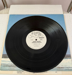 Johnny Winter Nothin’ But The Blues LP White Label Promo WLP Vinyl NM