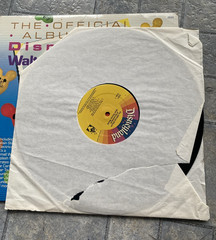 The Official Album Of Disneyland / Walt Disney World Vinyl