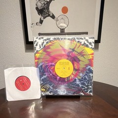 KG&LW Teenage Gizzard We Are Busy Bodies Pink Swirl Vinyl W/ Hidden 7” /1000