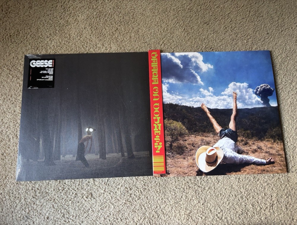Geese Vinyl Bundle 3D Country Projector Cameron Winter