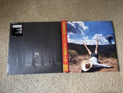 Geese Vinyl Bundle 3D Country Projector Cameron Winter