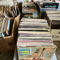 Mystery Lot of 10 Records