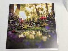 Pikmin Vinyl LP Record OST VGM 7” Nintendo Gamecube Not Moonshake