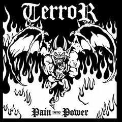 Terror- Pain into Power (LP)