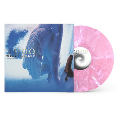 Fleshwater 2000: In Search of the Endless / Vinyl LP limited on PINK MARBLE