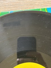 Alice Donut – The Biggest Ass (Vinyl 12″ – 2010 – US – Reissue)