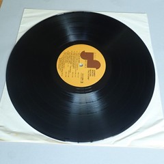 Johnny Winter Before The Storm Vinyl Lp Janus #2JSL-3056 1973 2XLP Gatefold