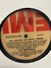 Latin Pop Rock Record Lot (12)