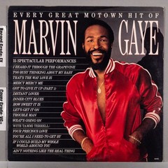 MARVIN GAYE Every Great Motown Hit of Marvin Gaye 1983 LP Vinyl : EX/VG+ 6058ML