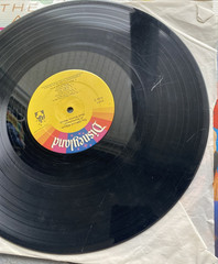 The Official Album Of Disneyland / Walt Disney World Vinyl