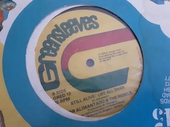 DOC ALIMANTADO/SKINHEAD REGGAE/GREENSLEEVES 12 / BORN FOR A PURPOSE
