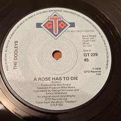 The Dooleys – A Rose Has To Die – Hungry For Love – Vinyl Record 7″ Single 1978