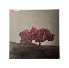 Project Unfollow Chvrches Cocteau Twins Regrettes 10″ Vinyl Record New Sealed