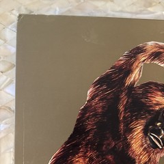 FEU THERESE – CA VA COGNER – VINYL – LP Record – Constellation Records