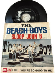 Ultimate Beach Boys 45 RPM Collection. Picture Sleeves and 45s in one place!