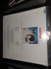 * Luna – BEWITCHED – Vinyl LP Reissue – NEW! Rare Album!!
