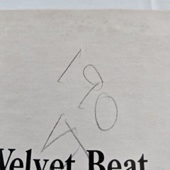 David Rose – The Velvet Beat LP Record 1967 MGM Orchestral Stereo EX Tested