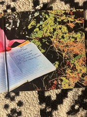 Jhené Aiko RSD 2026 Trip Vinyl