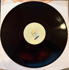 Miniature Tigers I Dreamt I was Cowboy Vinyl – Used