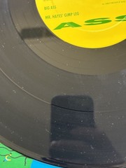 Alice Donut – The Biggest Ass (Vinyl 12″ – 2010 – US – Reissue)