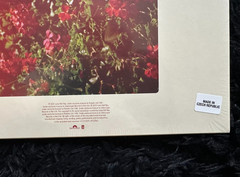 Lana Del Rey Honeymoon Red Vinyl COLLECTIBLE Grade. AMAZING CONDITION!