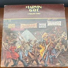 Marvin Gaye ‘I Want You’ Vinyl Record