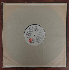 Paul Winter – The Winter Consort Something In The Wind – 12” LP PROMO COPY