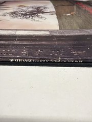 Death Angel – Frolic In The Park Stunning First Pressing D1- 73332 Vinyl Record