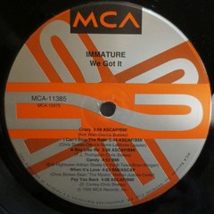 Immature – We Got It (LP, Album) (Mint (M)) – 4251233688