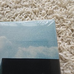 Armor For Sleep What To Do When You Are Dead Transparent Green Vinyl New /500