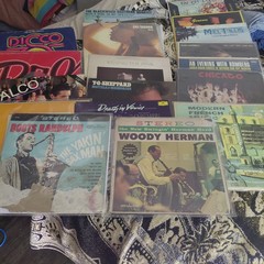 Lot Vinyl Records x55