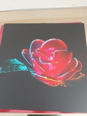 Beach House – Depression Cherry (LP, Album, RE, Met) (Mint (M)) – 4248707985