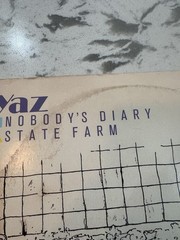 Yaz Nobody’s Diary / State Farm Original 1983 Sire Records New Wave Synth 12″