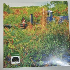 Jhene Aiko – Trip -RSD 2026 [New Picture Disc Vinyl 2 LP]