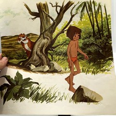 Walt Disney The Jungle Book Disneyland 3948 LP & Illustrated Book 1967