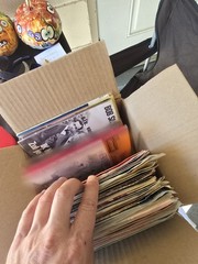 Lot of 50+ vintage DUTCH MUSIC records