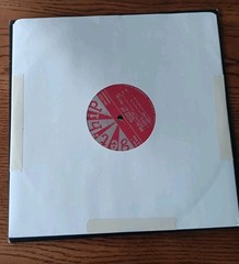 Rocket 455 10″ Vinyl Sees All Knows All Tells All – Detroit Band